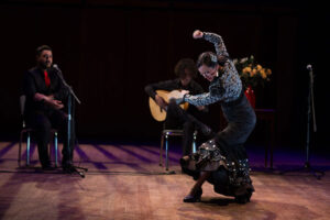 Flamenco en Casa