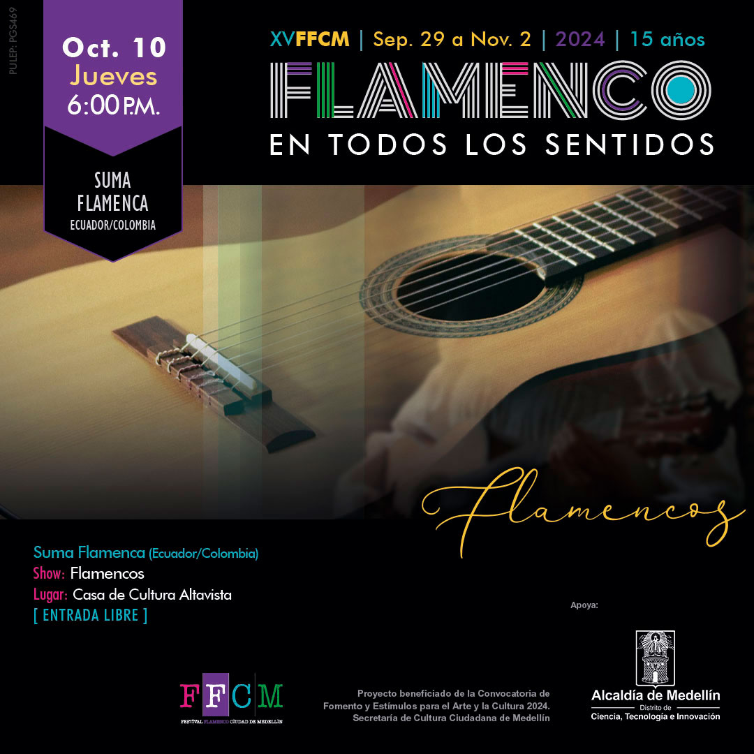 XV FFCM, Flamenco en todos los sentidos