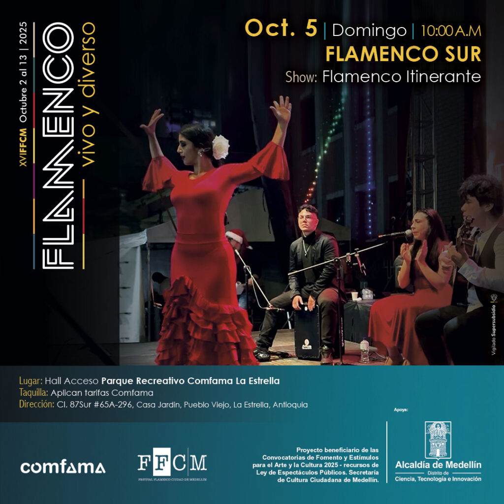 XVI FFCM - Flamenco Sur